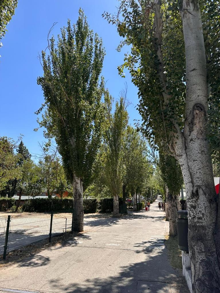 Bungalows Alpha Getafe Exterior foto