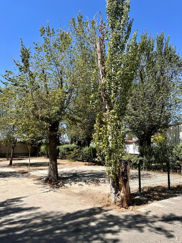 Bungalows Alpha Getafe Exterior foto